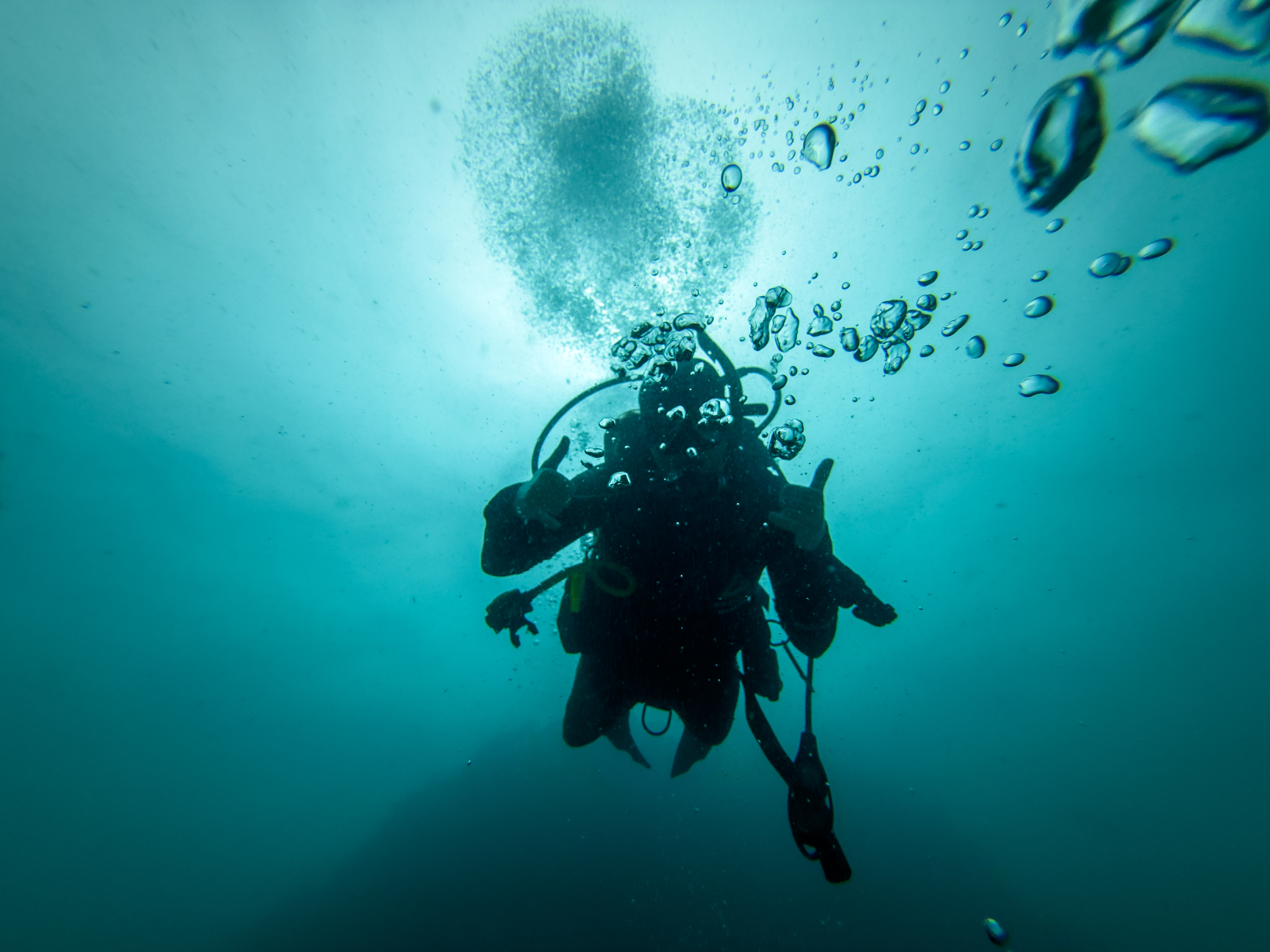 BPIX7979.jpg — Great Barrier Reef Feb 2025