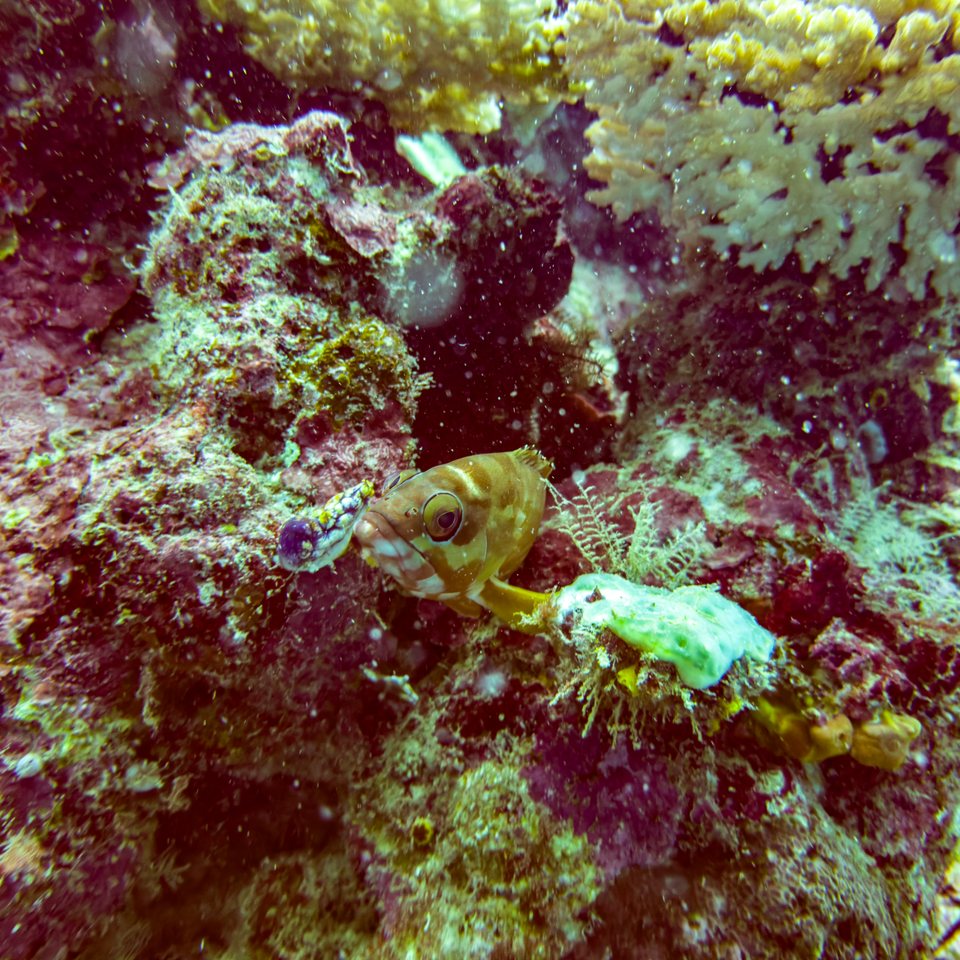 FMPV5559.jpg