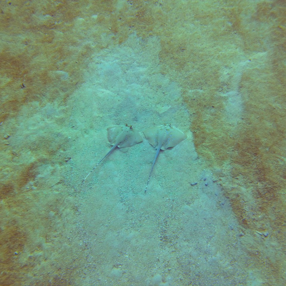 HJUQ7223.jpg
