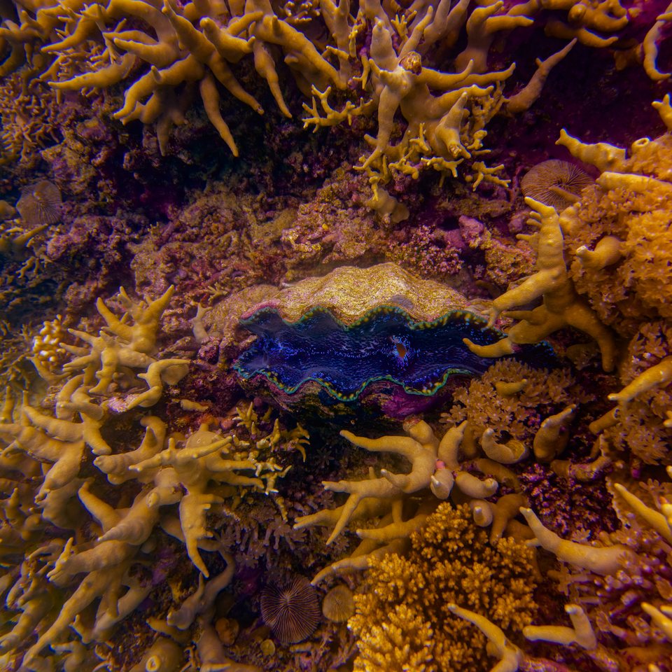 INWS8605.jpg