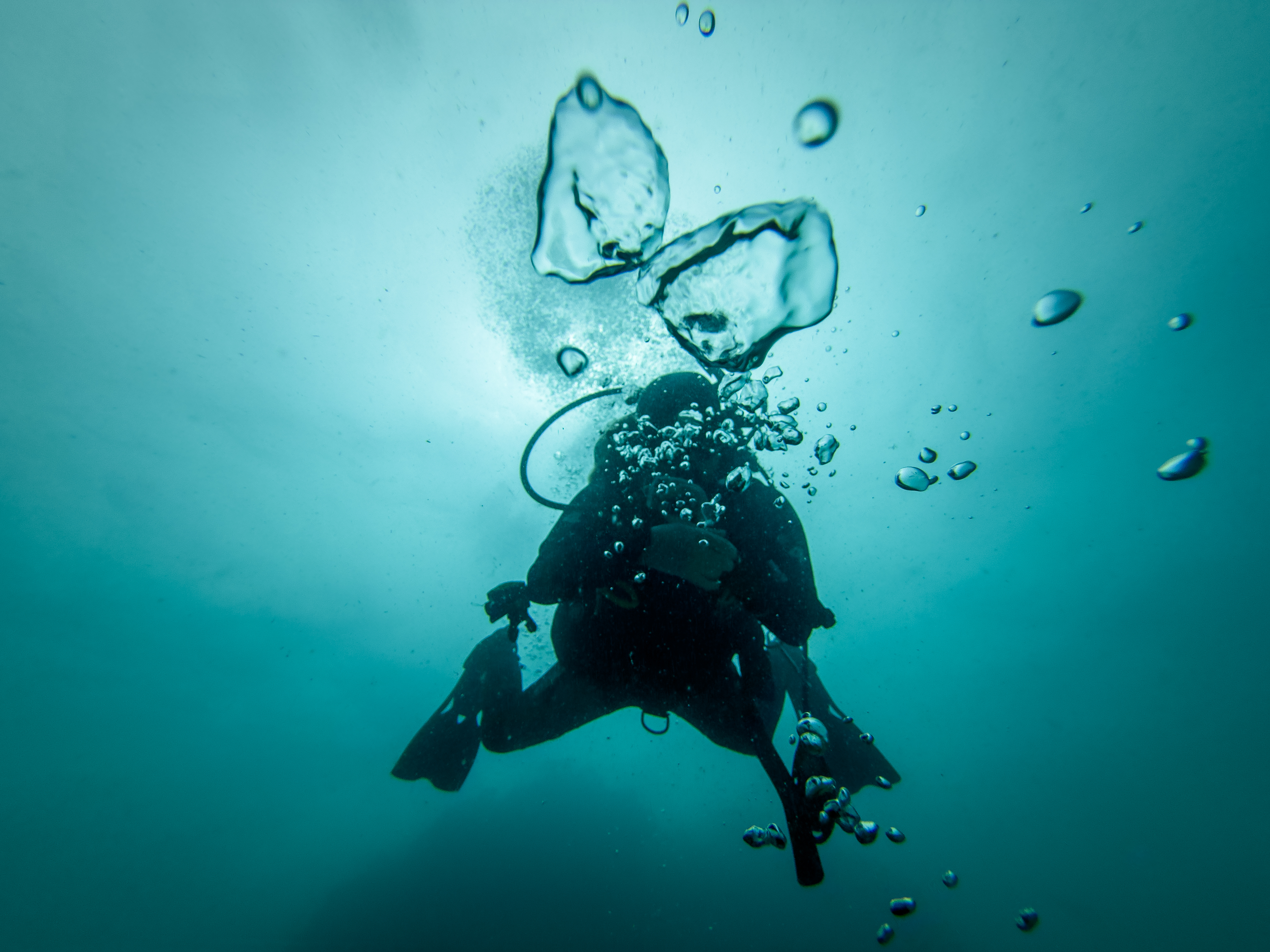 LHMJ0197.jpg — Great Barrier Reef Feb 2025