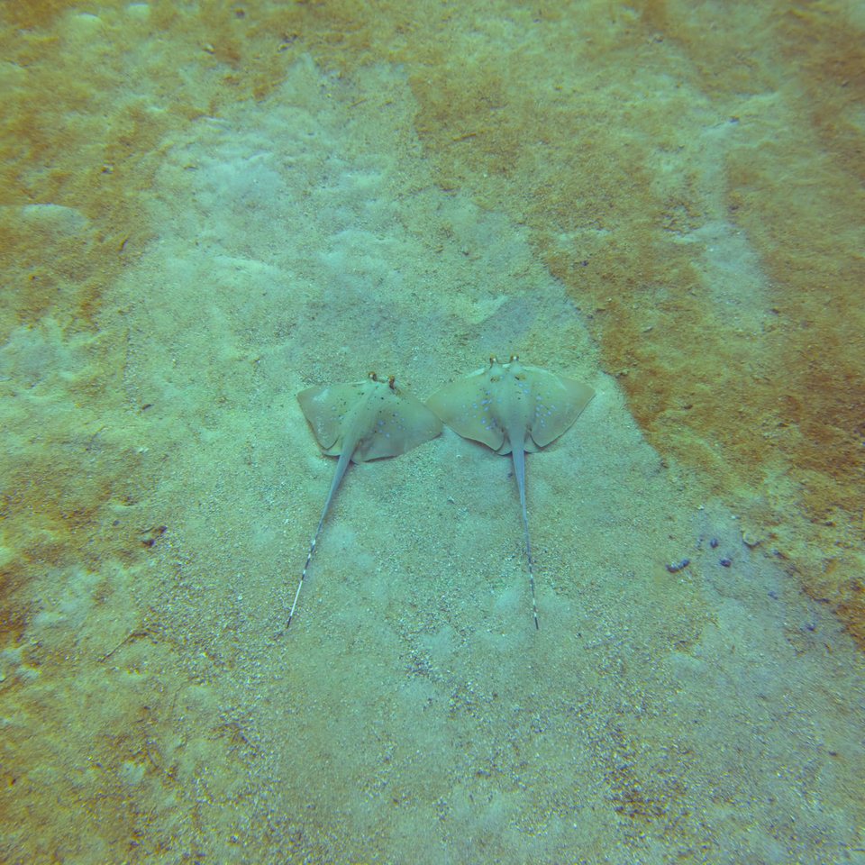 NTLM8844.jpg