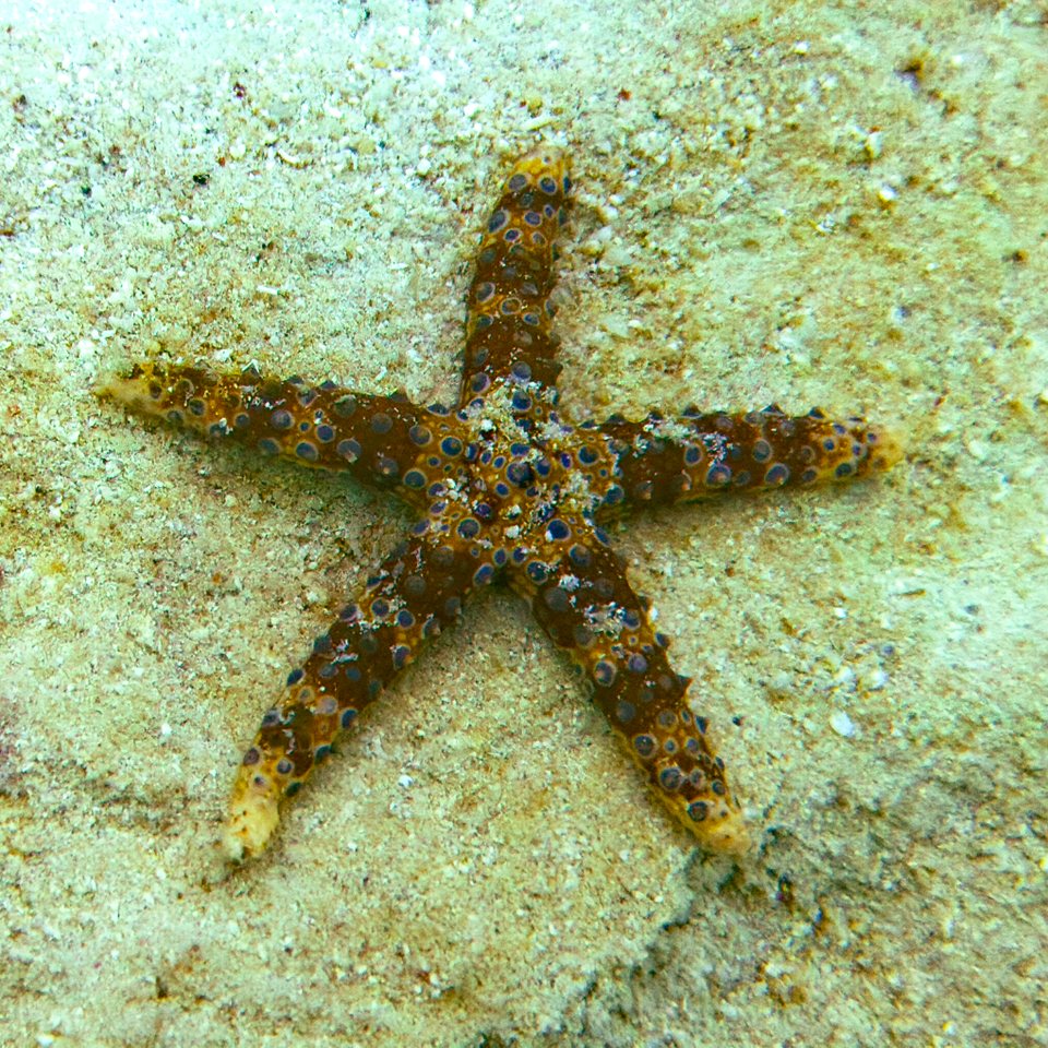 XBJL9378.jpg
