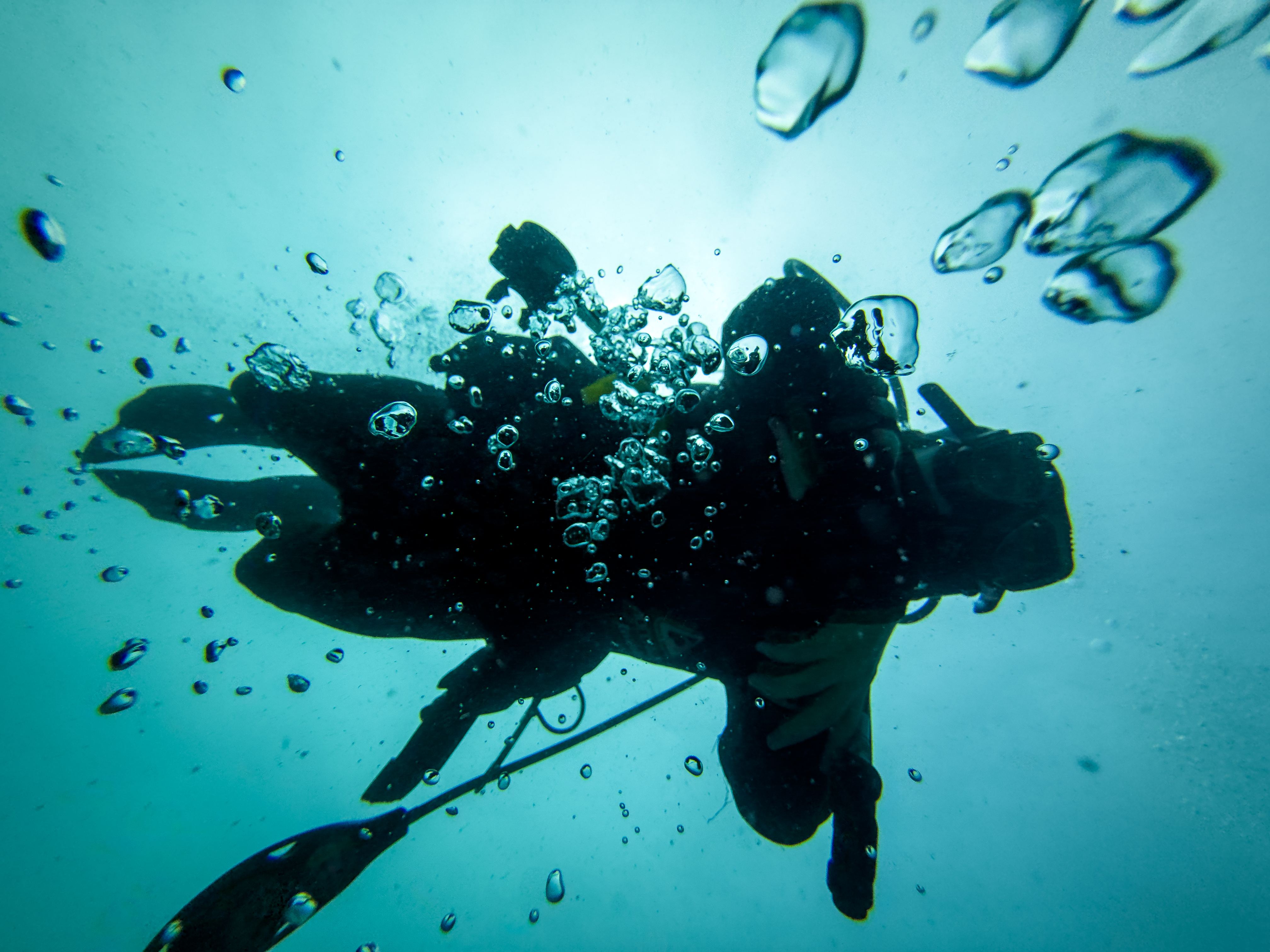 XRCV2225.jpg — Great Barrier Reef Feb 2025