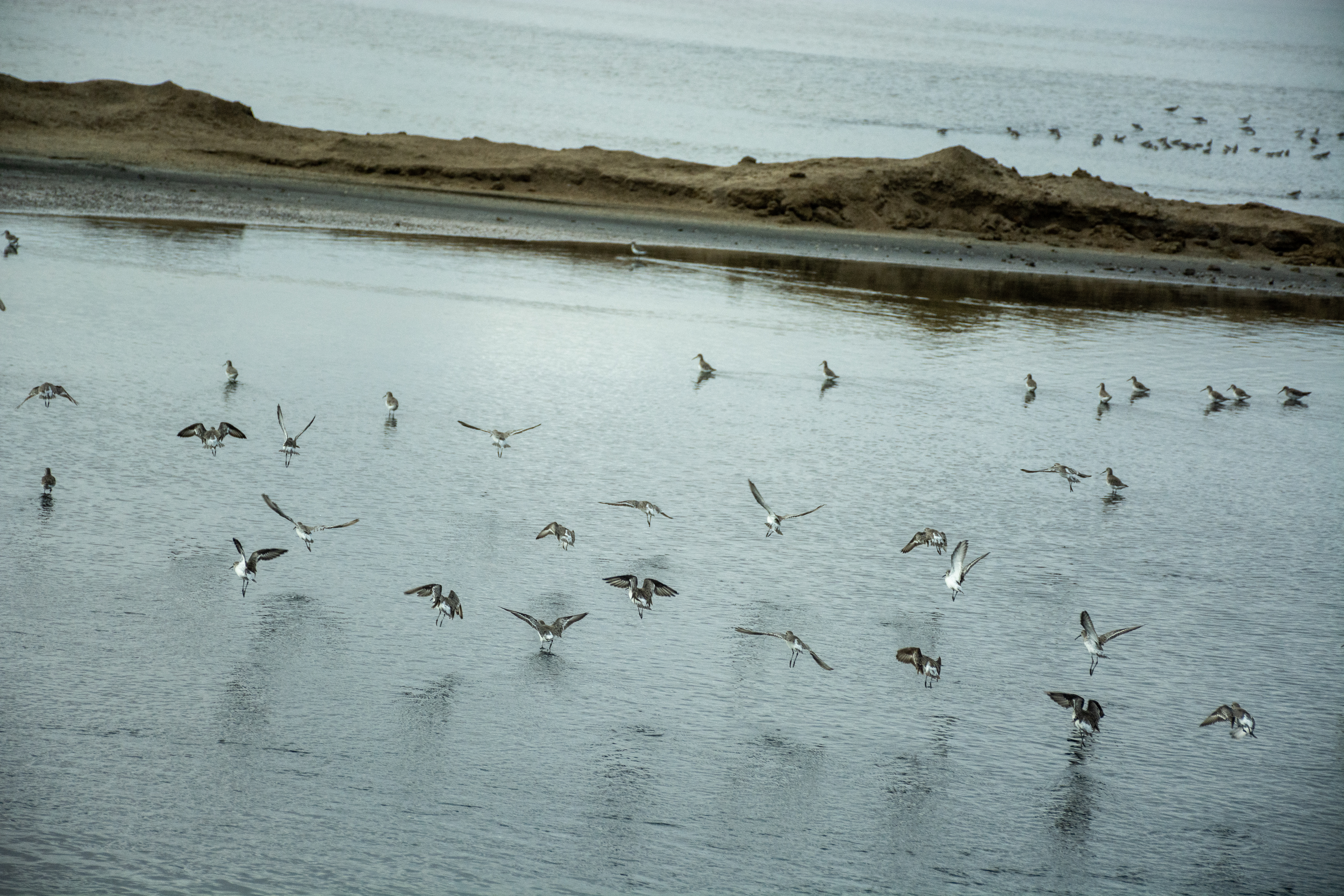 _nam4815_46676570764_o.jpg — Namibia