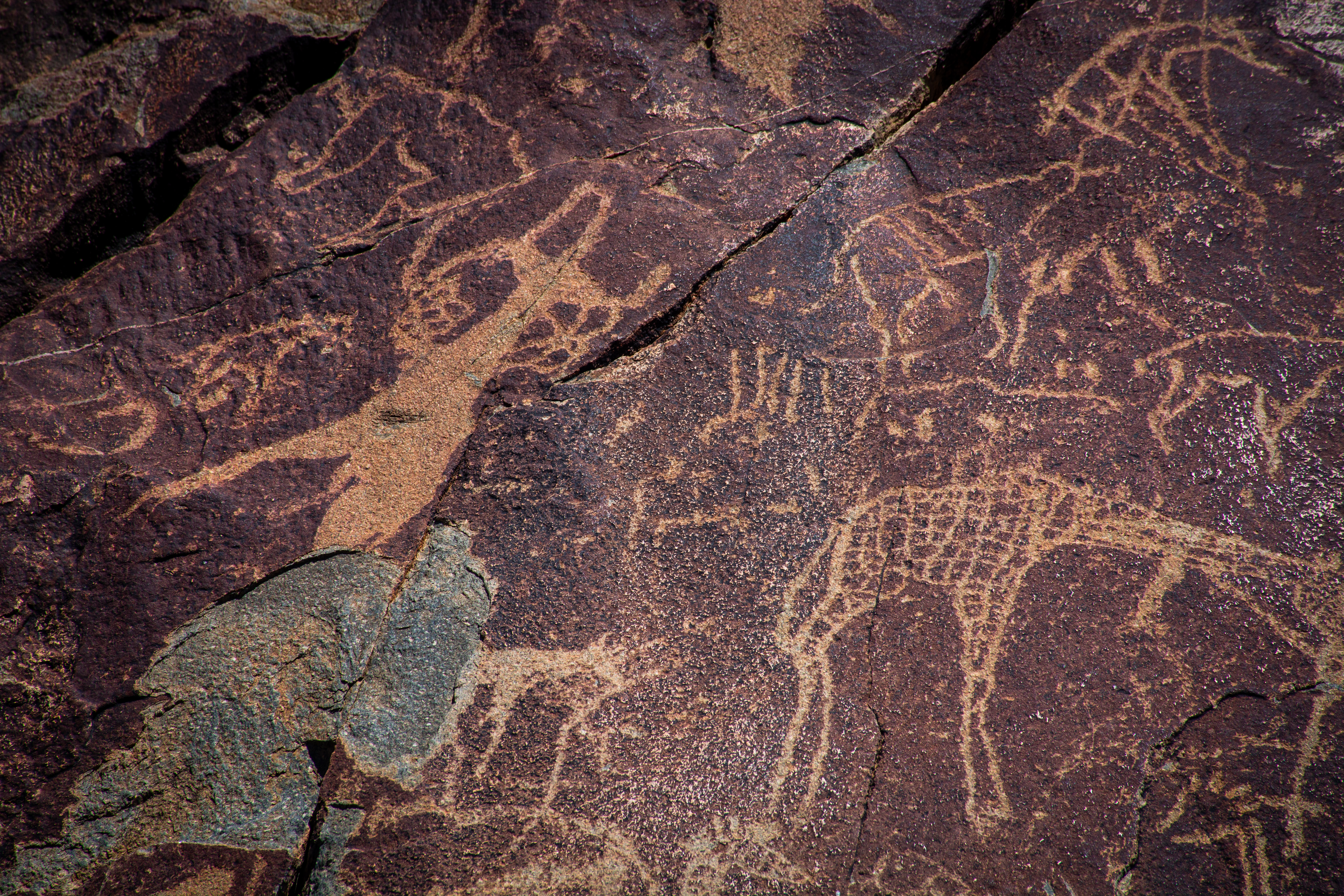 _nam6532_47399846451_o.jpg — Namibia