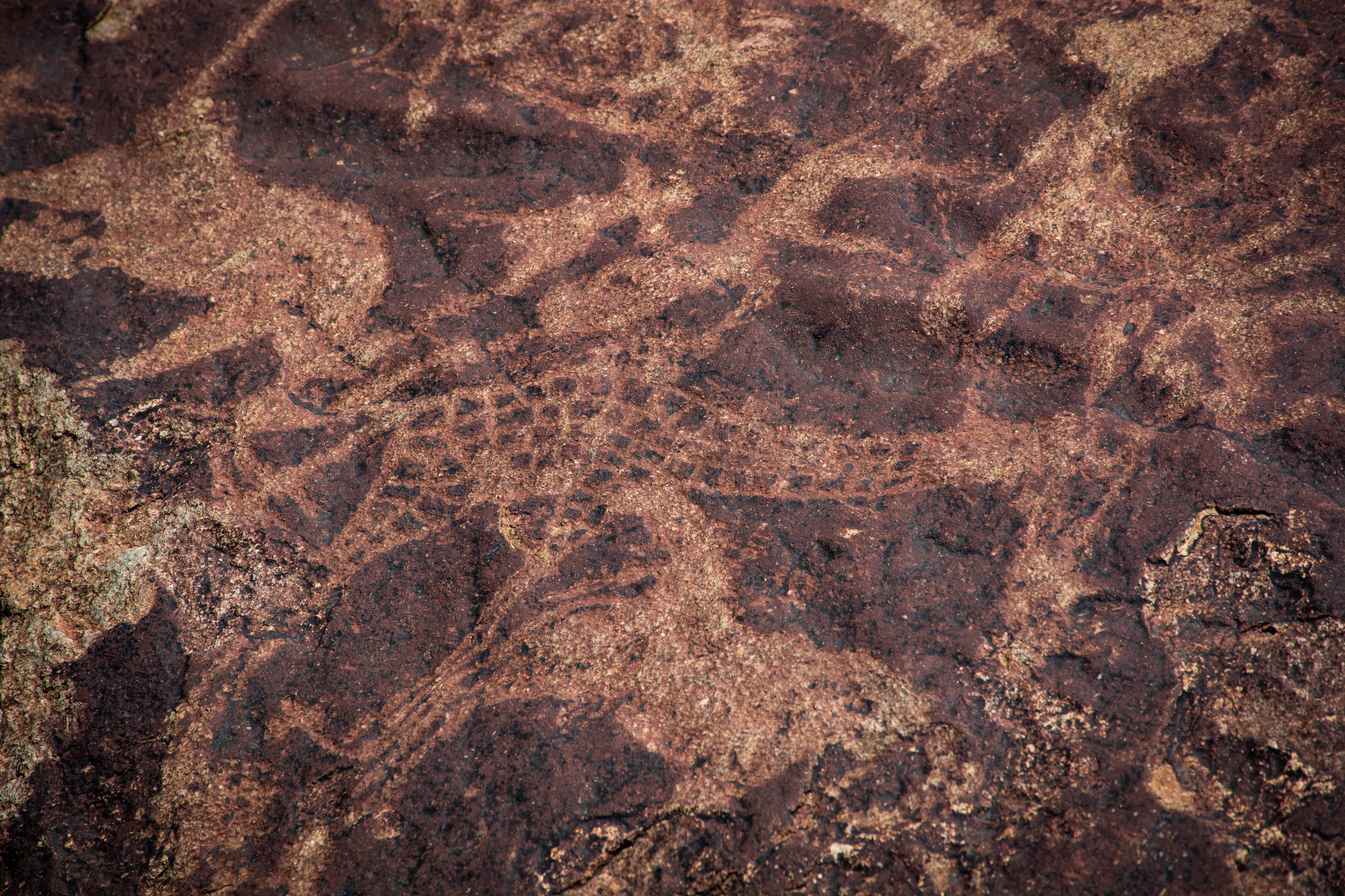 _nam6561_32458033997_o.jpg — Namibia