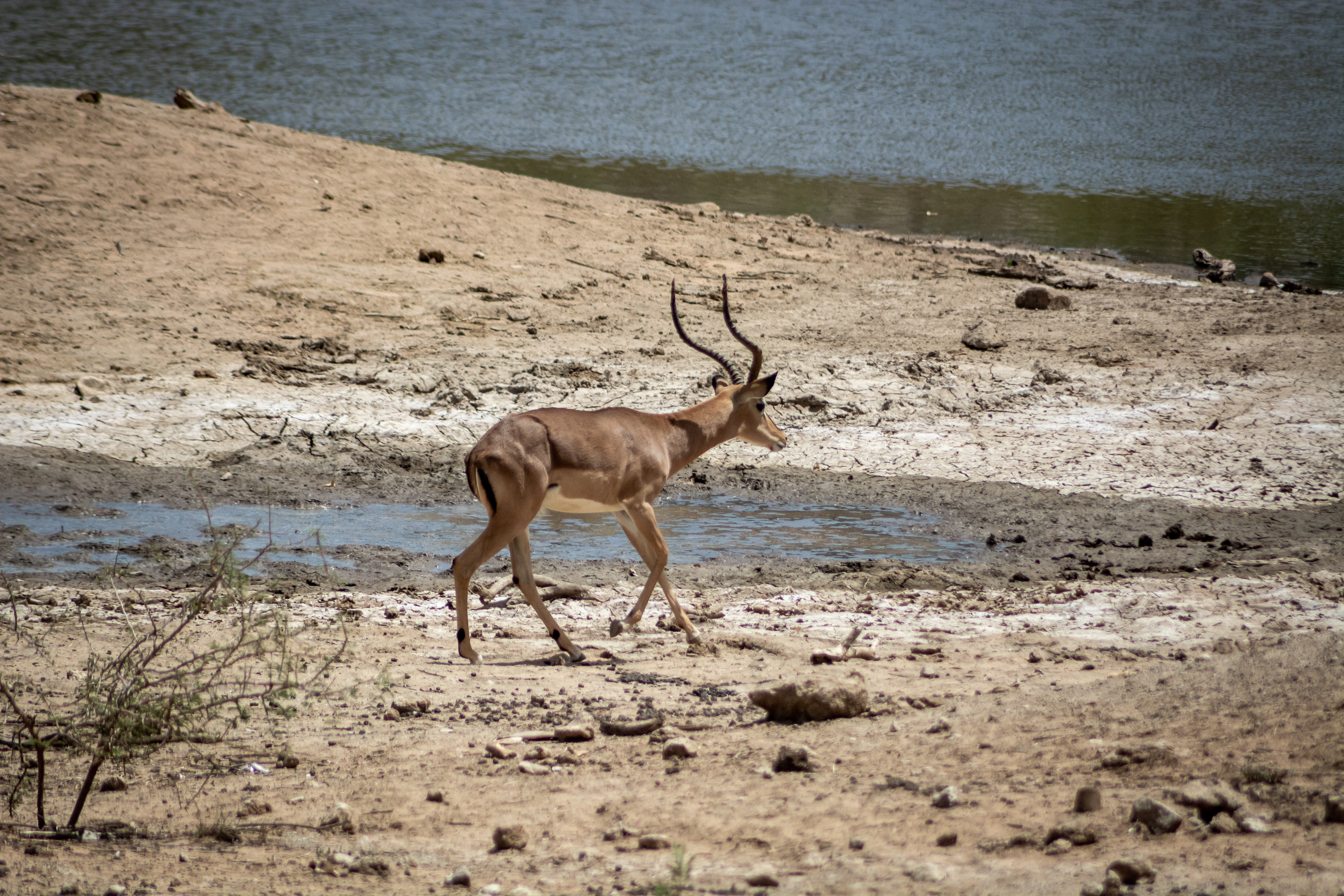 _nam7037_47399845781_o.jpg — Namibia