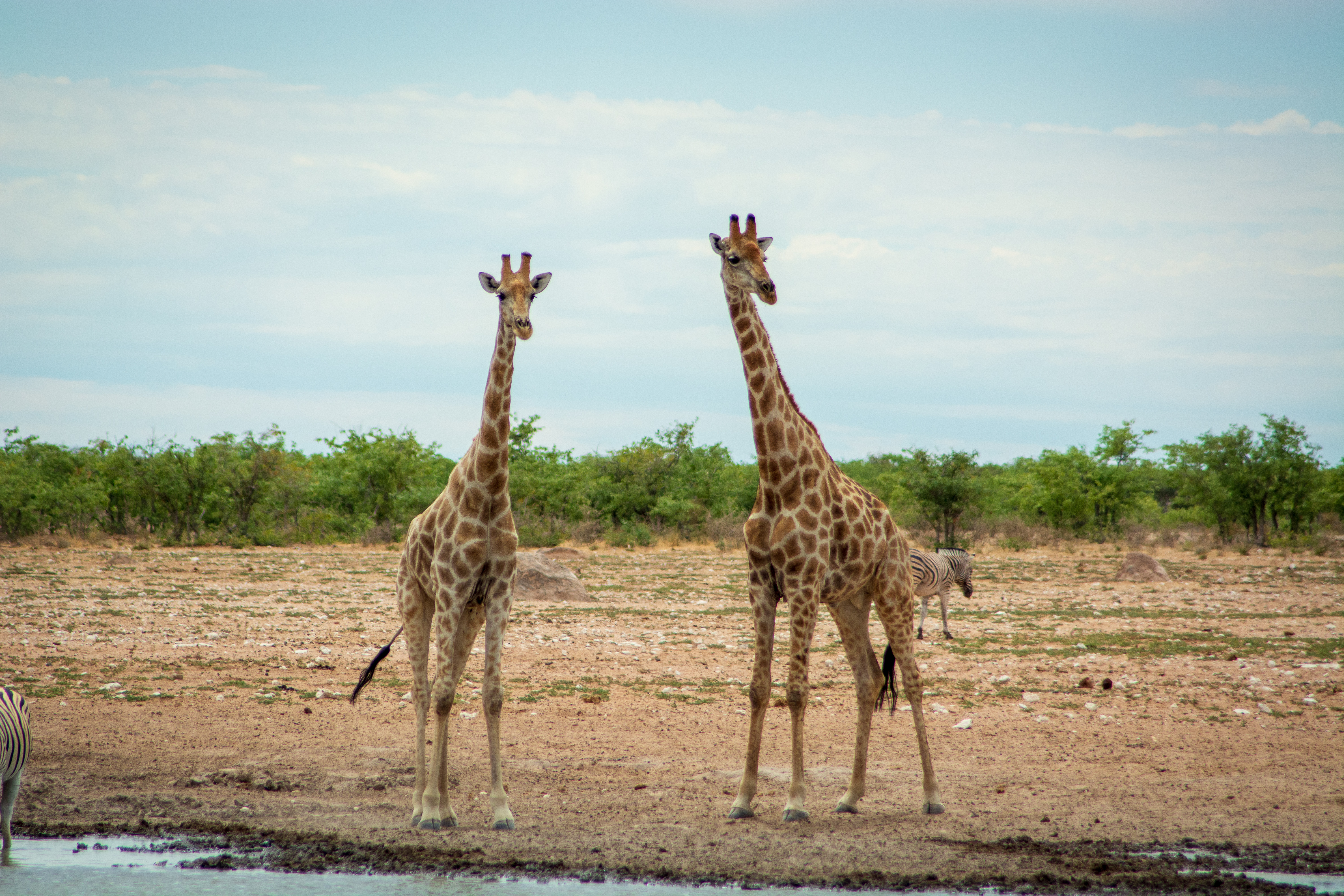 _nam8614_47399845461_o.jpg — Namibia