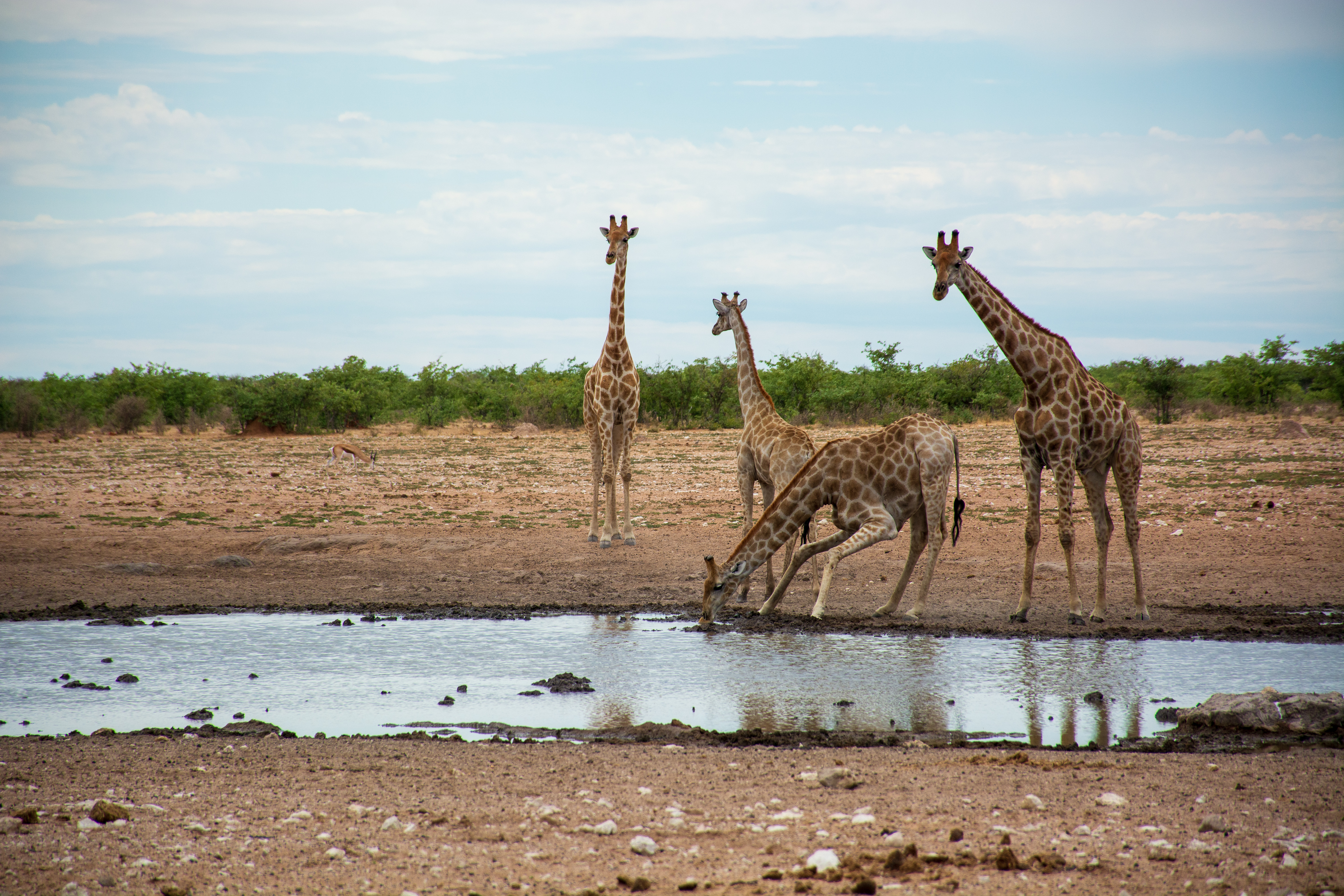 _nam8725_47399845291_o.jpg — Namibia