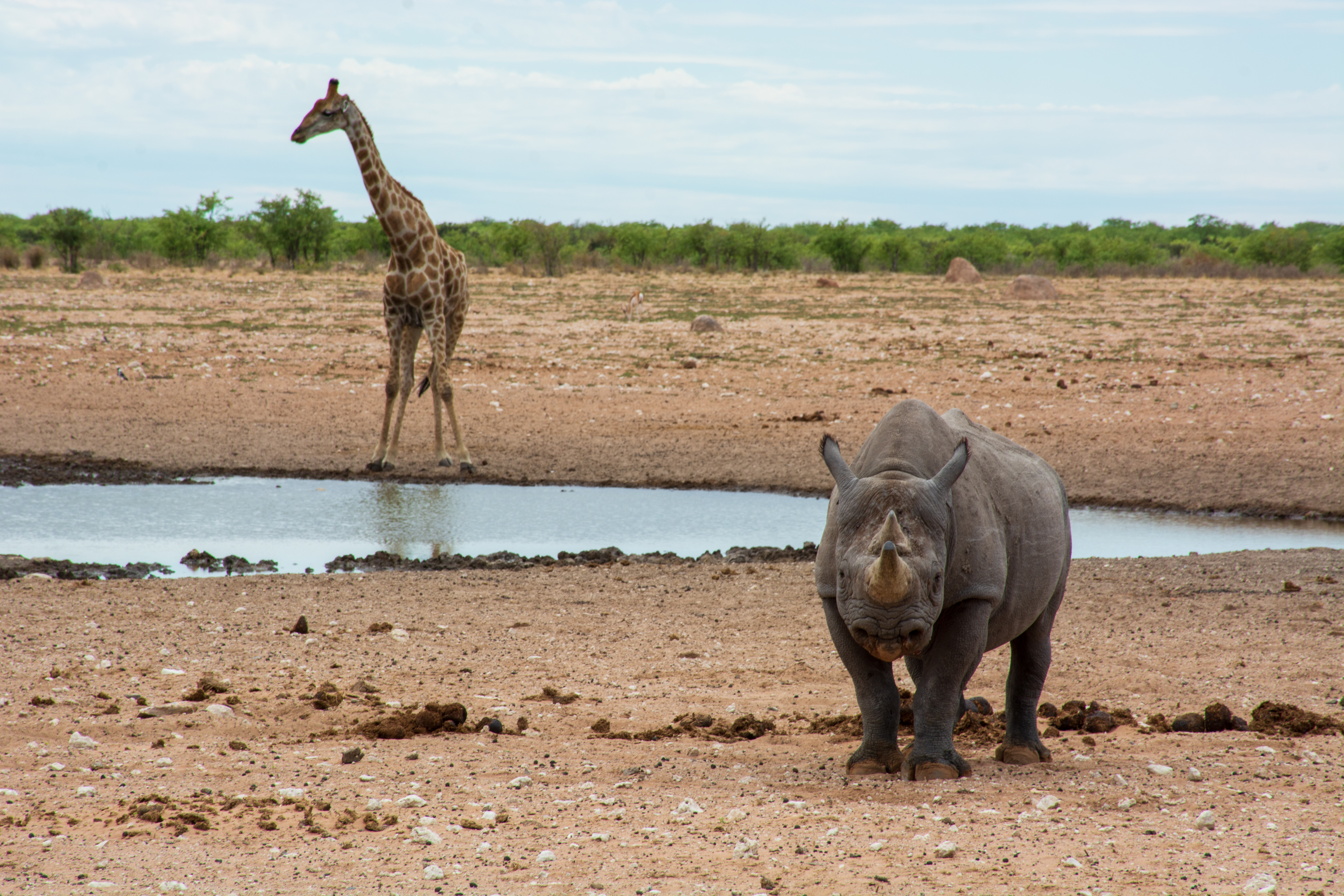 _nam8773_46484824075_o.jpg — Namibia