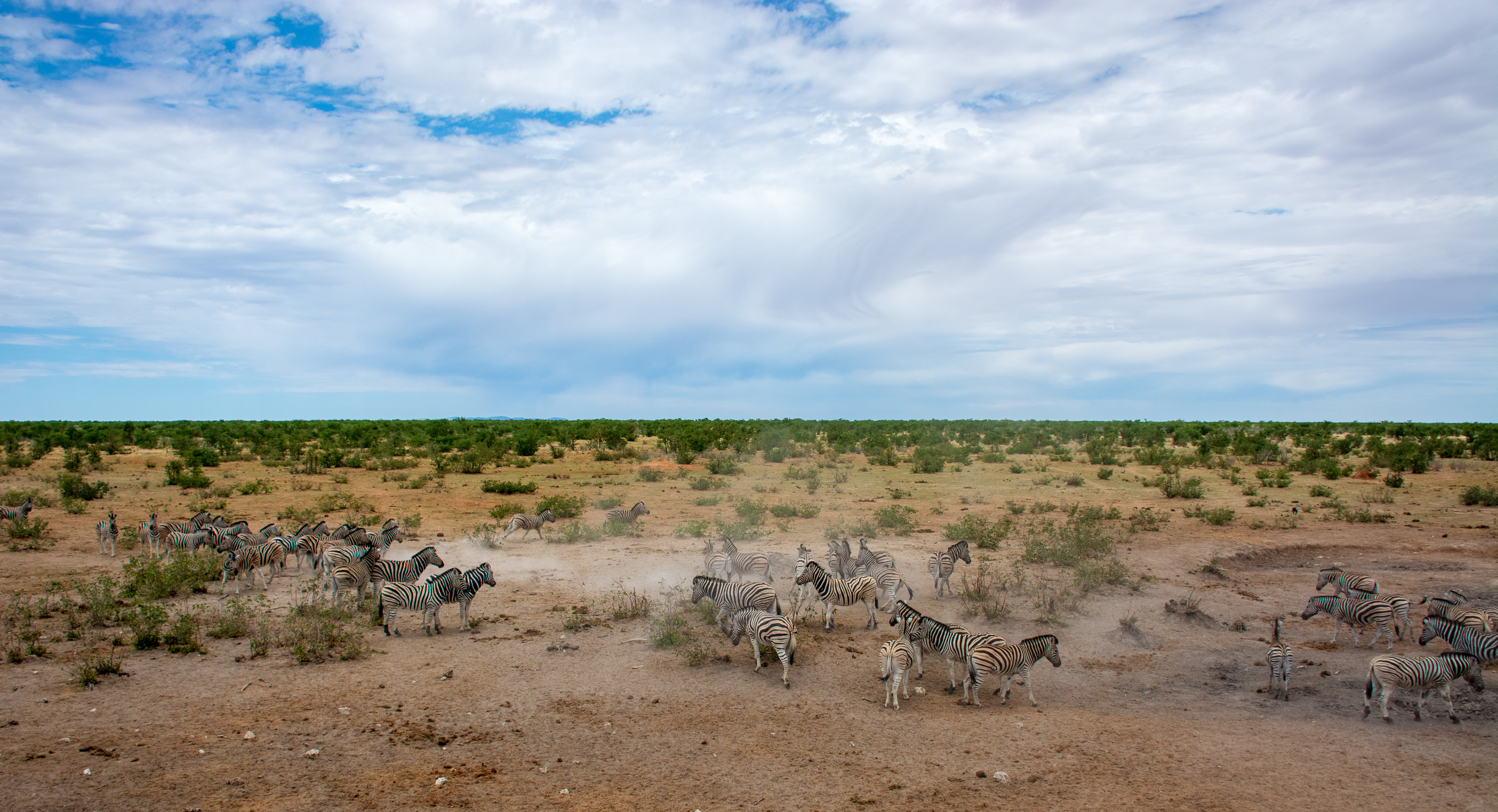 _nam9146_46484823235_o.jpg — Namibia