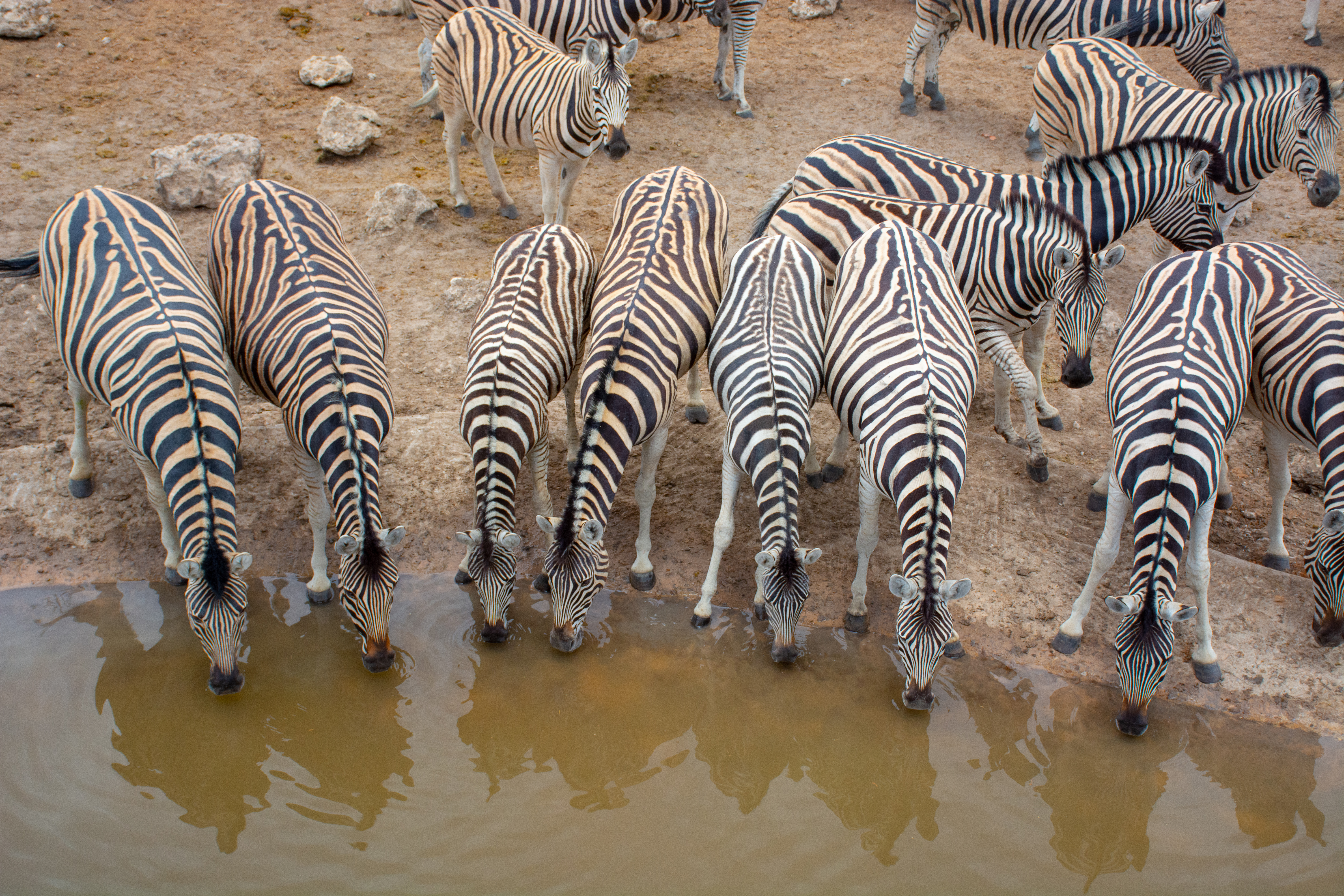 _nam9202_33524029198_o.jpg — Namibia