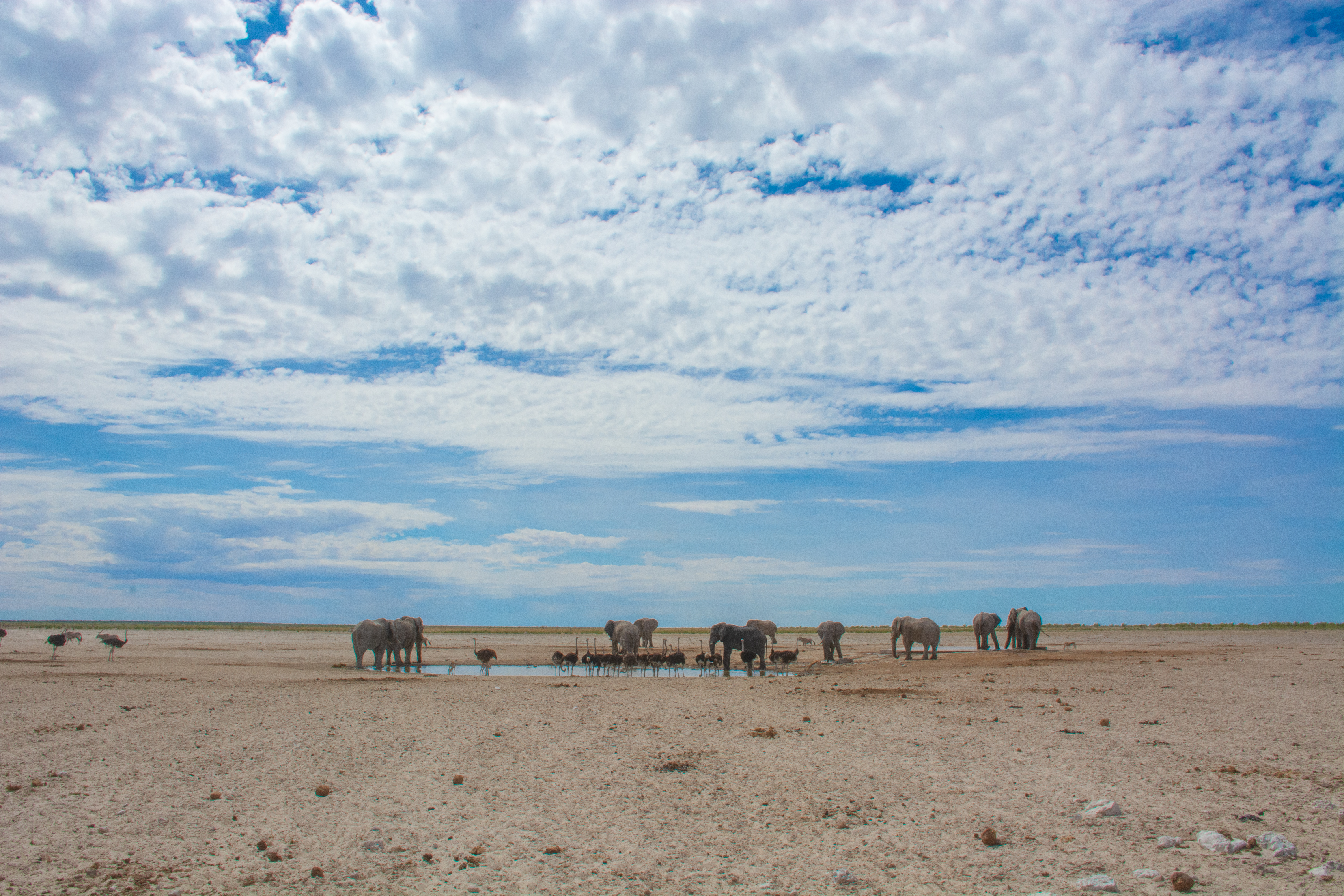 _nam9356_46484822935_o.jpg — Namibia