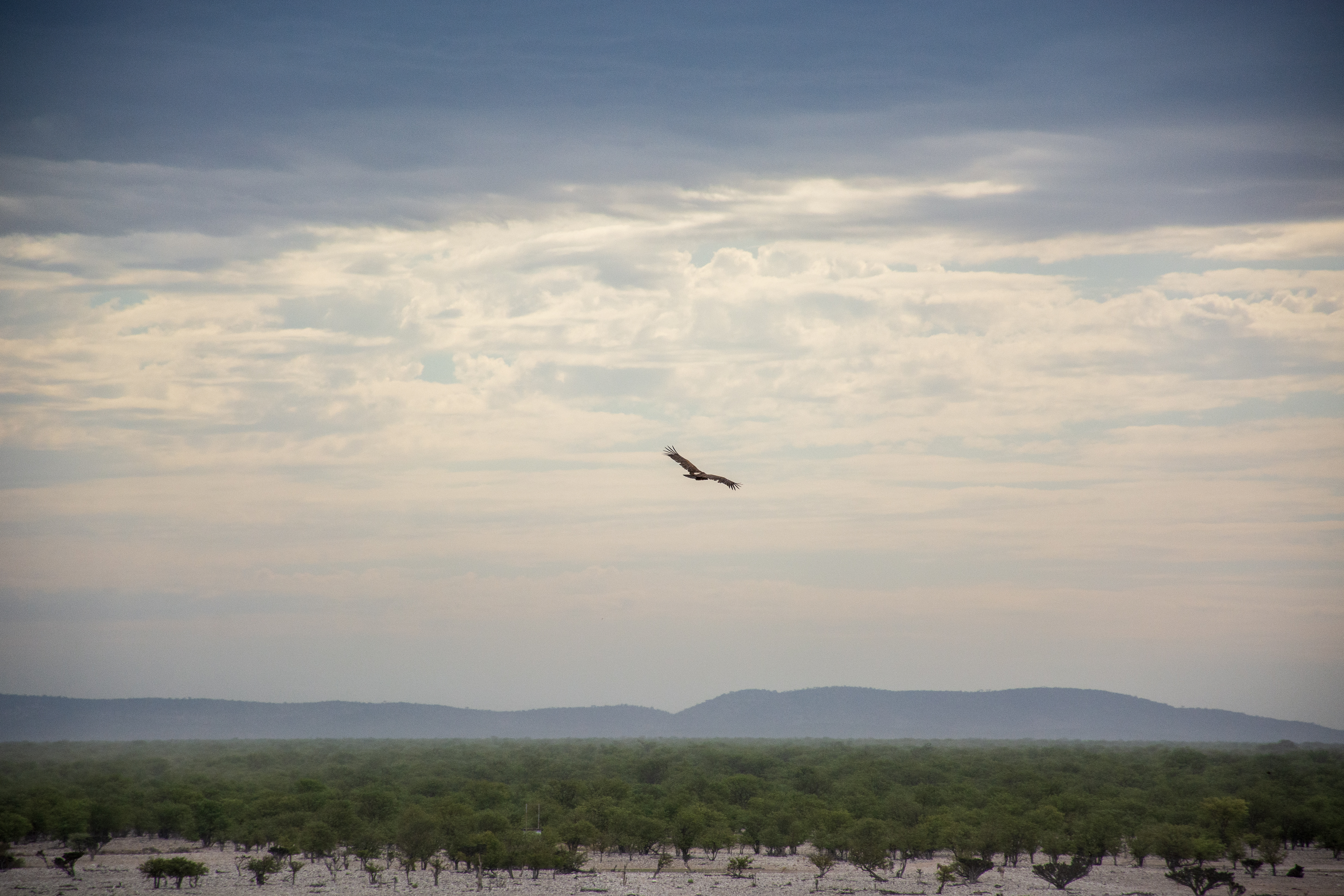 _nam9485_46484822685_o.jpg — Namibia