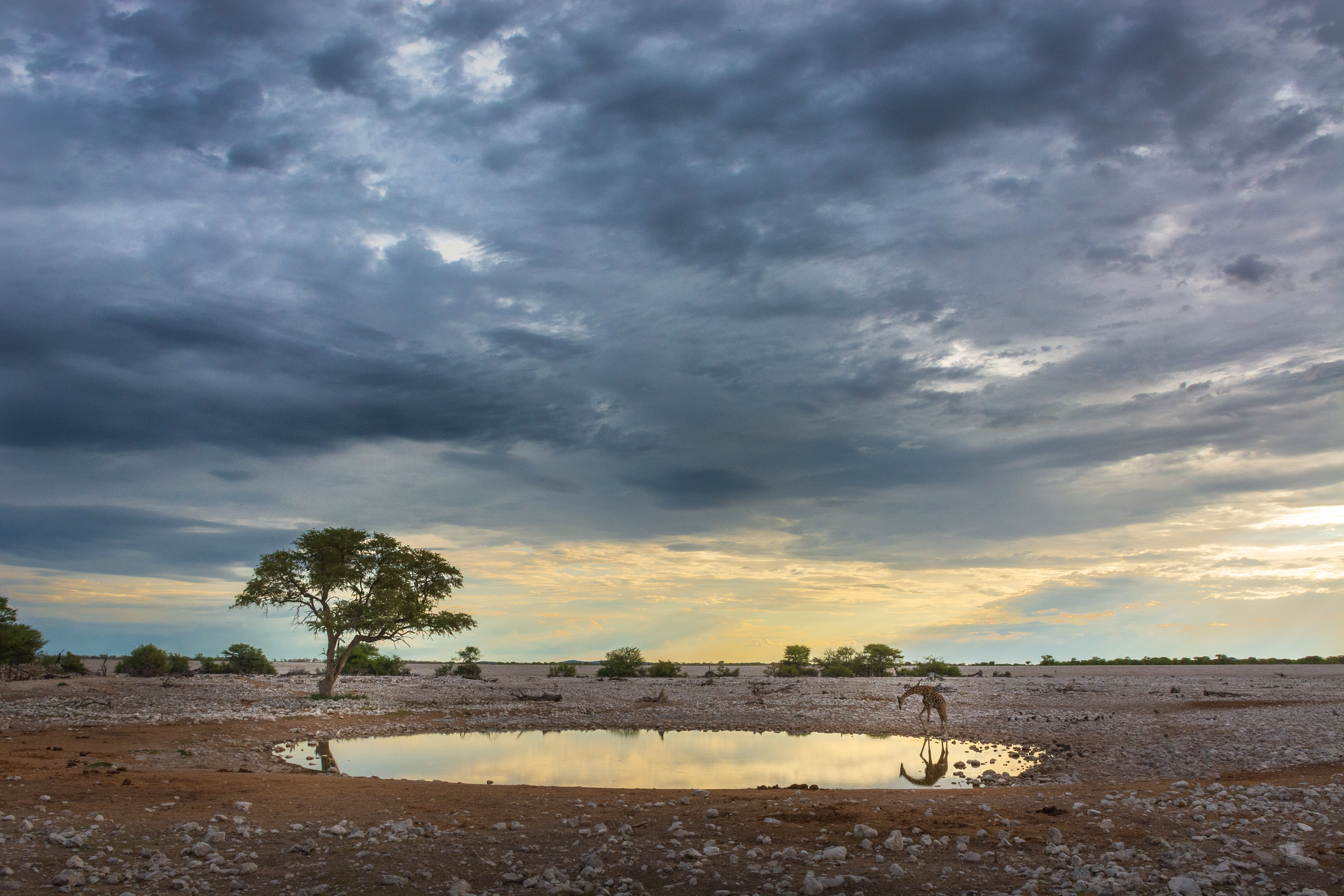 _nam9931_33524028398_o.jpg — Namibia