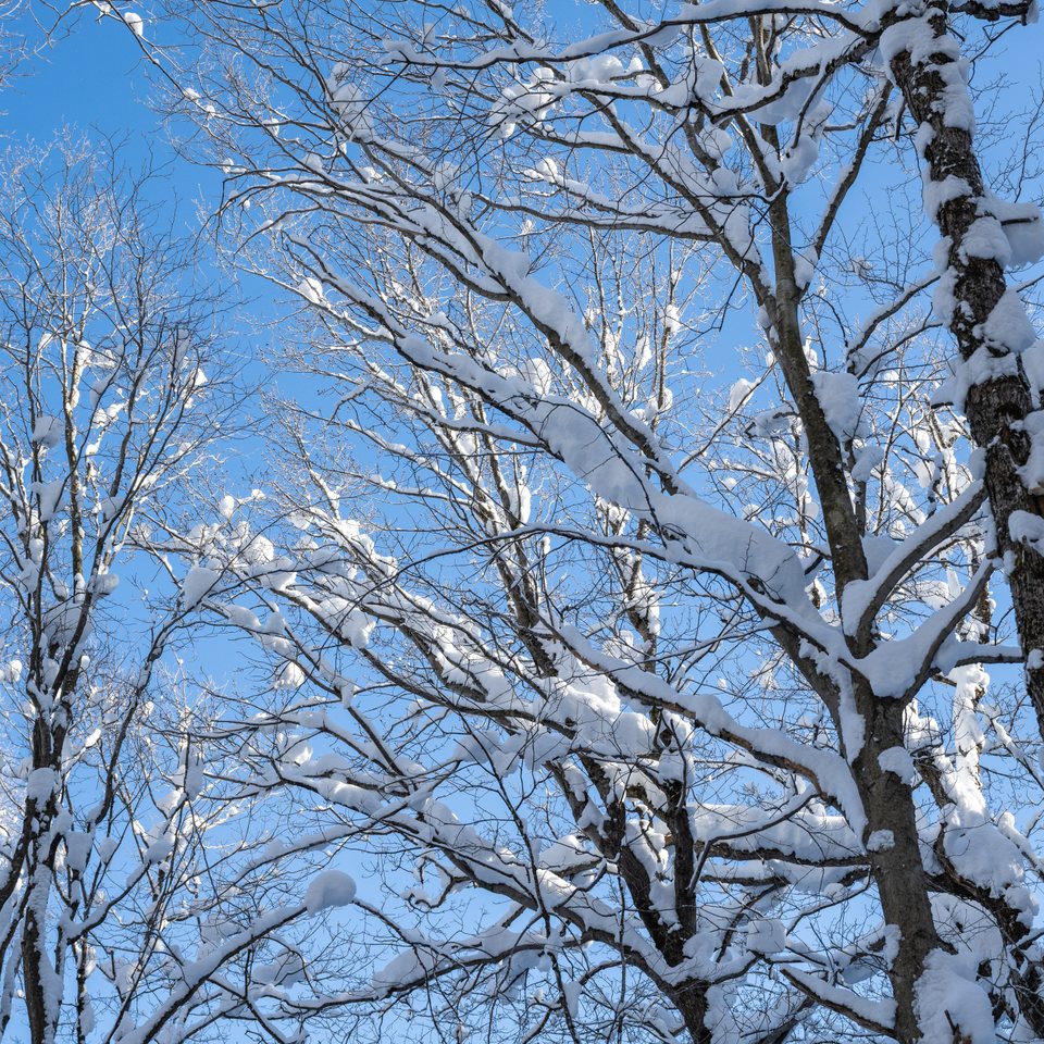 CAN_3070.jpg