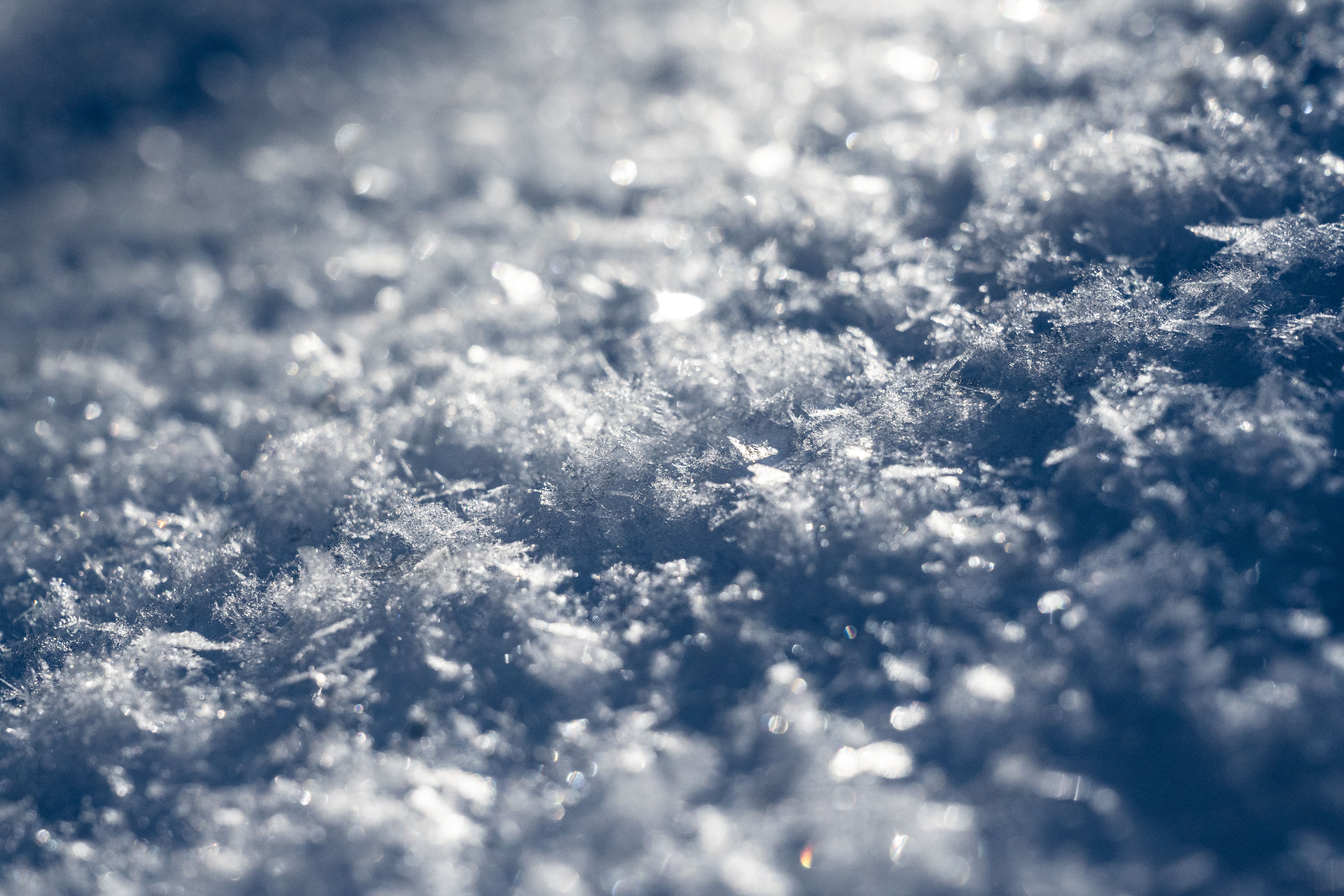 CAN_3087.jpg — Quebec Wilderness in Winter