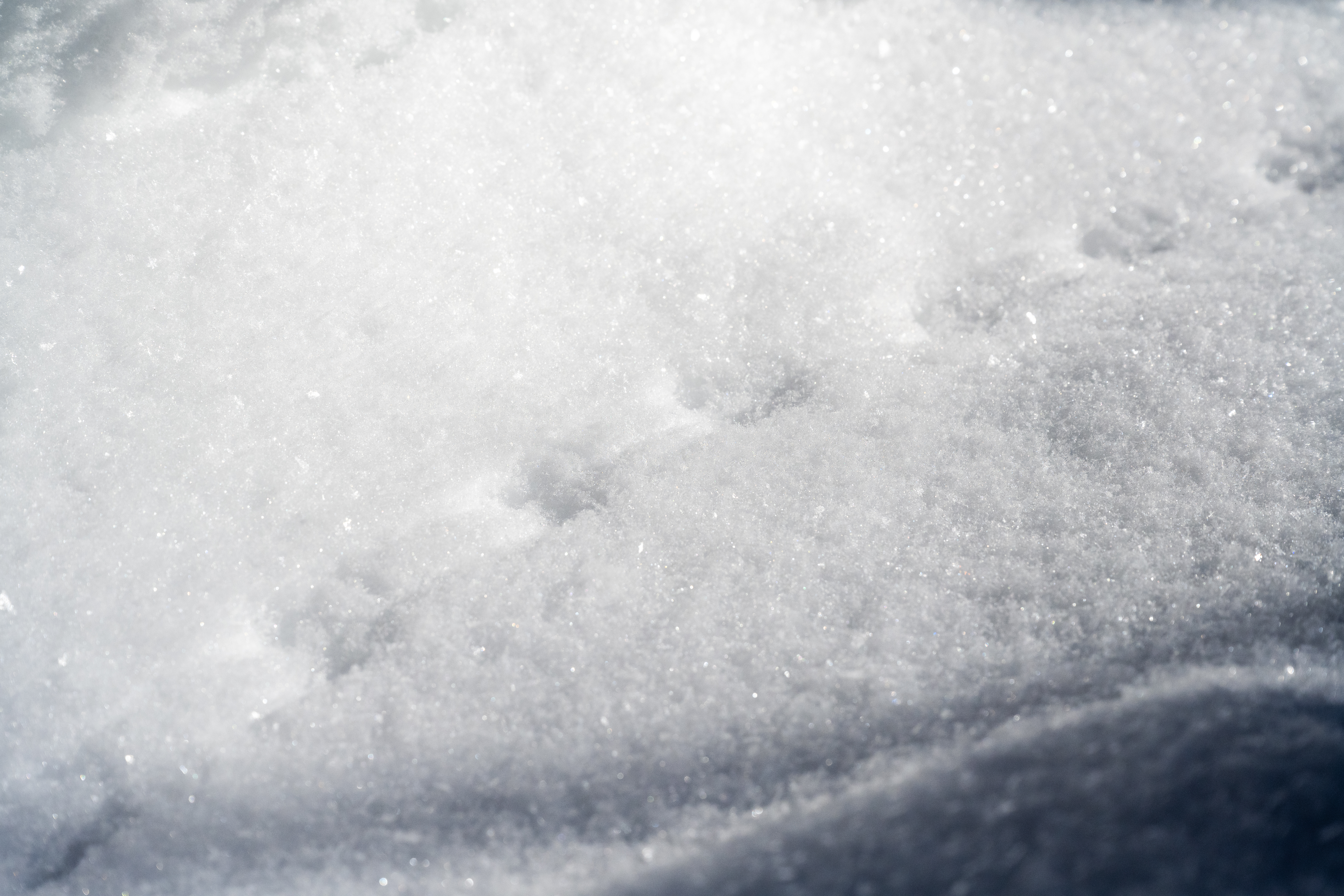 CAN_3111.jpg — Quebec Wilderness in Winter