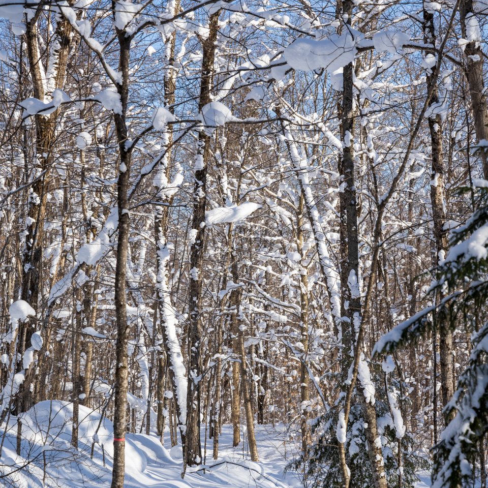 CAN_3118.jpg