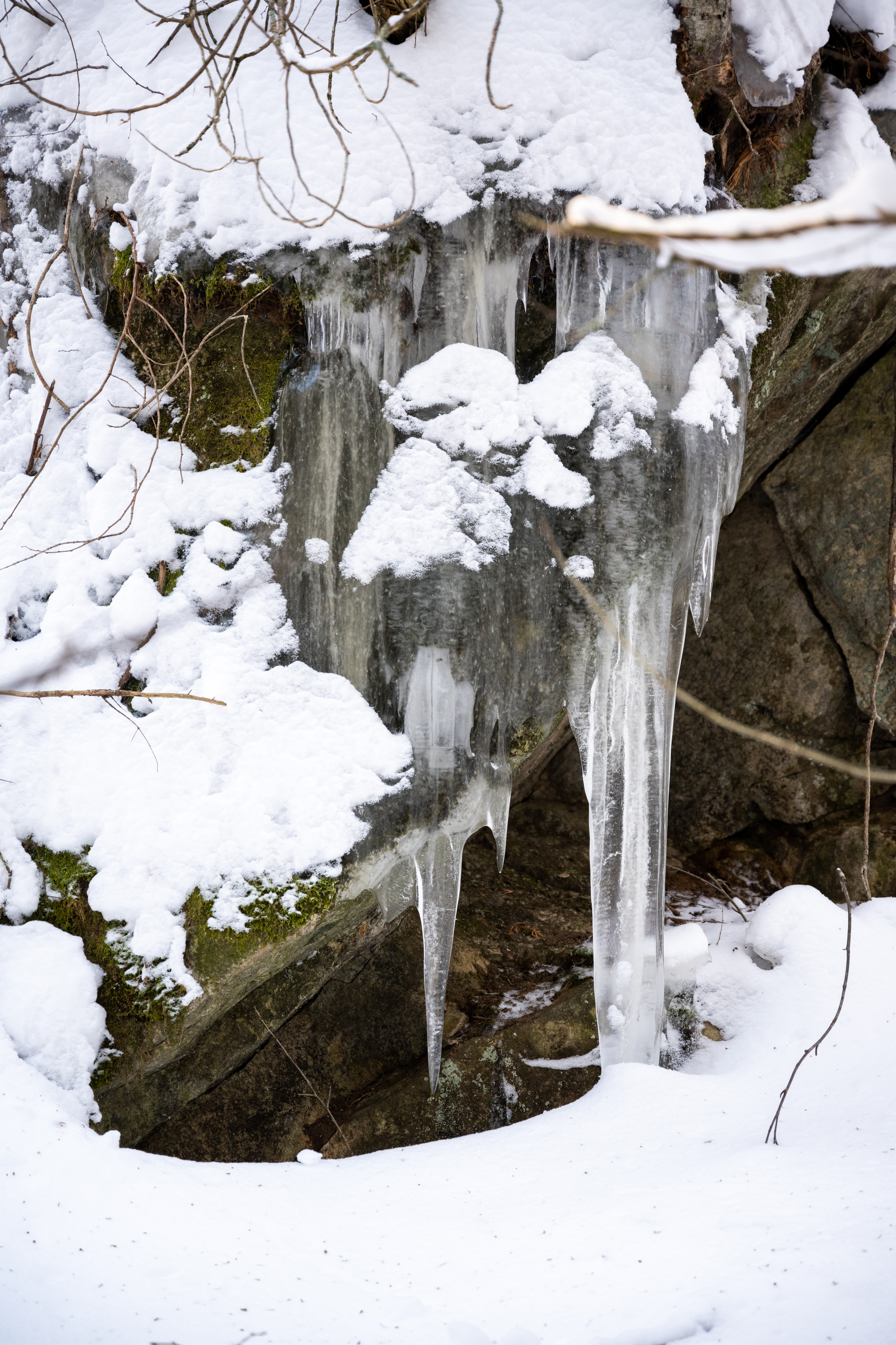 CAN_3137.jpg — Quebec Wilderness in Winter