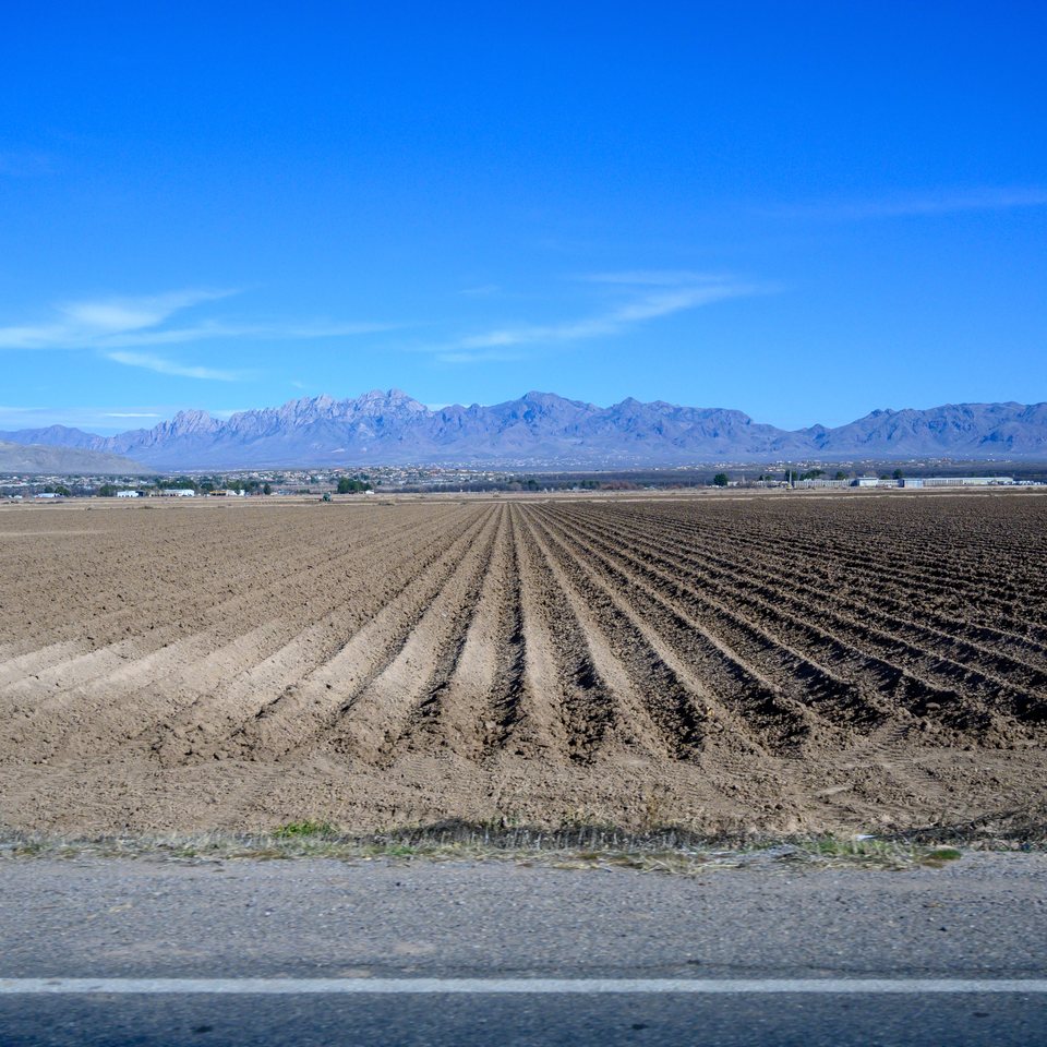 tx--nm-180_49644540833_o.jpg