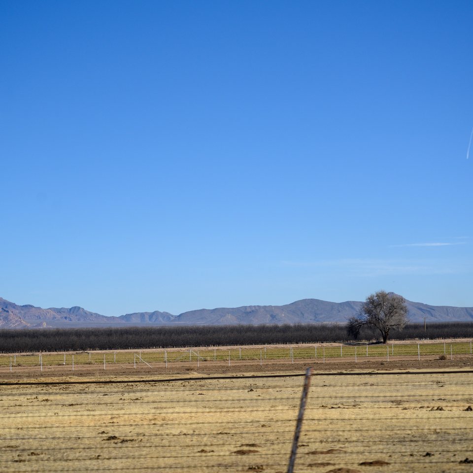 tx--nm-181_49644541388_o.jpg