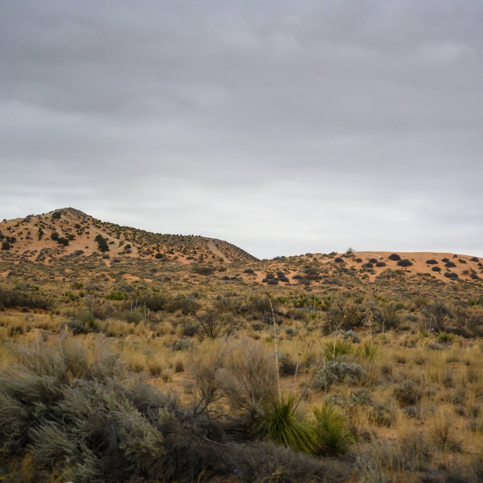 tx--nm-249_49644933661_o.jpg