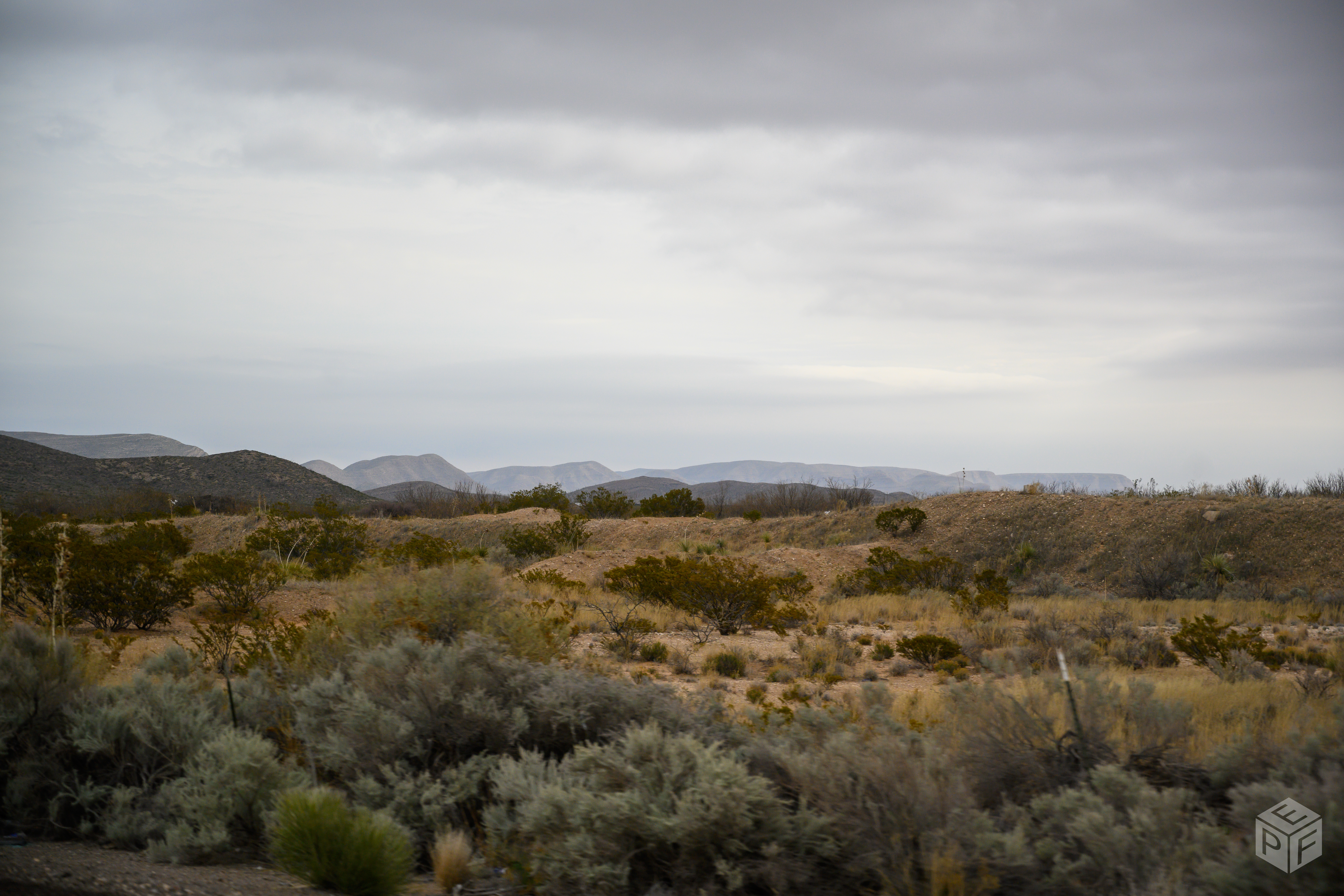 tx--nm-250_49644405673_o.jpg — TX-NM 2020