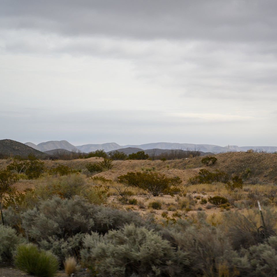 tx--nm-250_49644405673_o.jpg